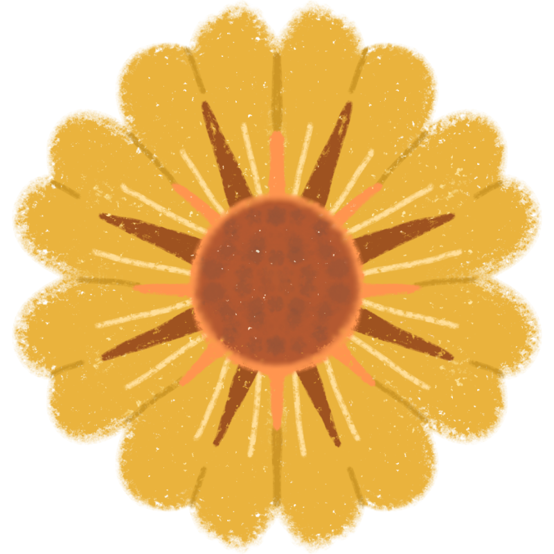 A yellow flower with a dark orange center and dark orange lines pointing outwards to the petals.